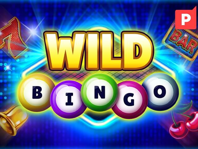 WIN77 Bingo Selvagem